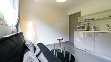 Appartement, 1 chambre, vue ville | Coin séjour | Télévision à écran plat