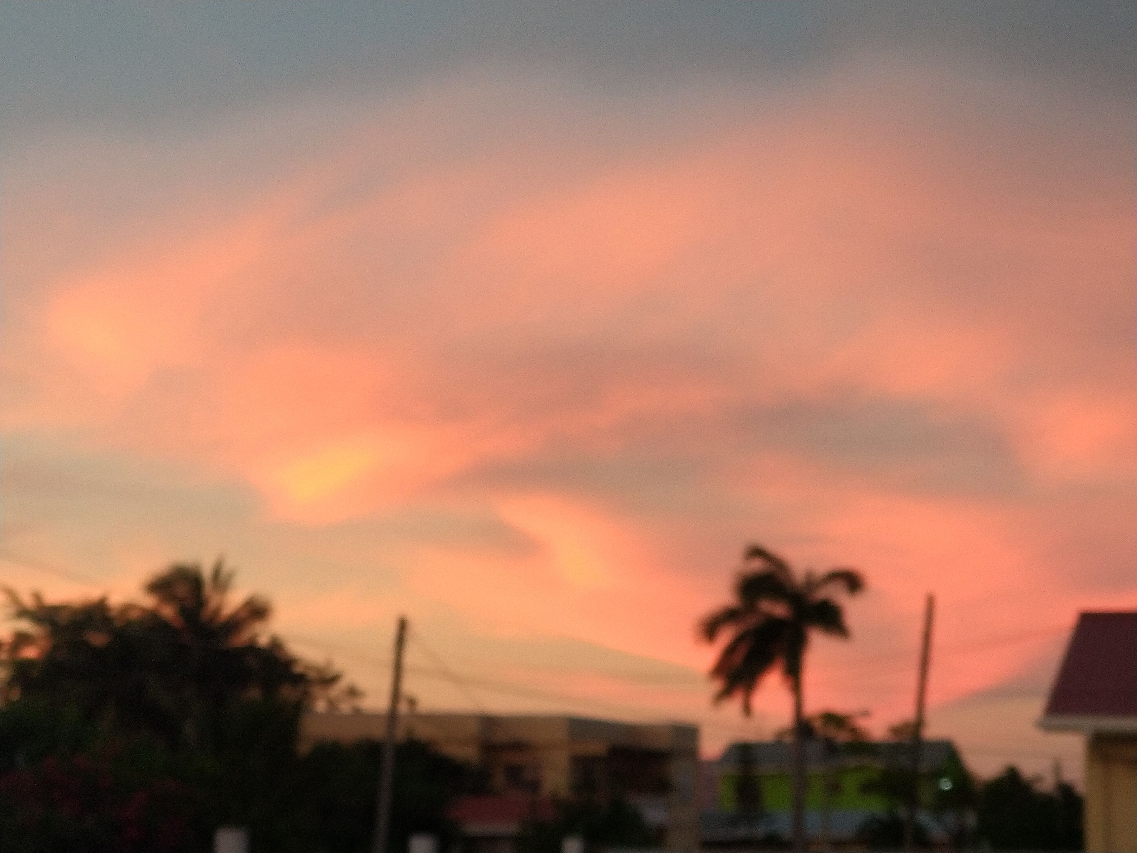 Un coucher de soleil avec un ciel rose, des palmiers et des bâtiments au premier plan.