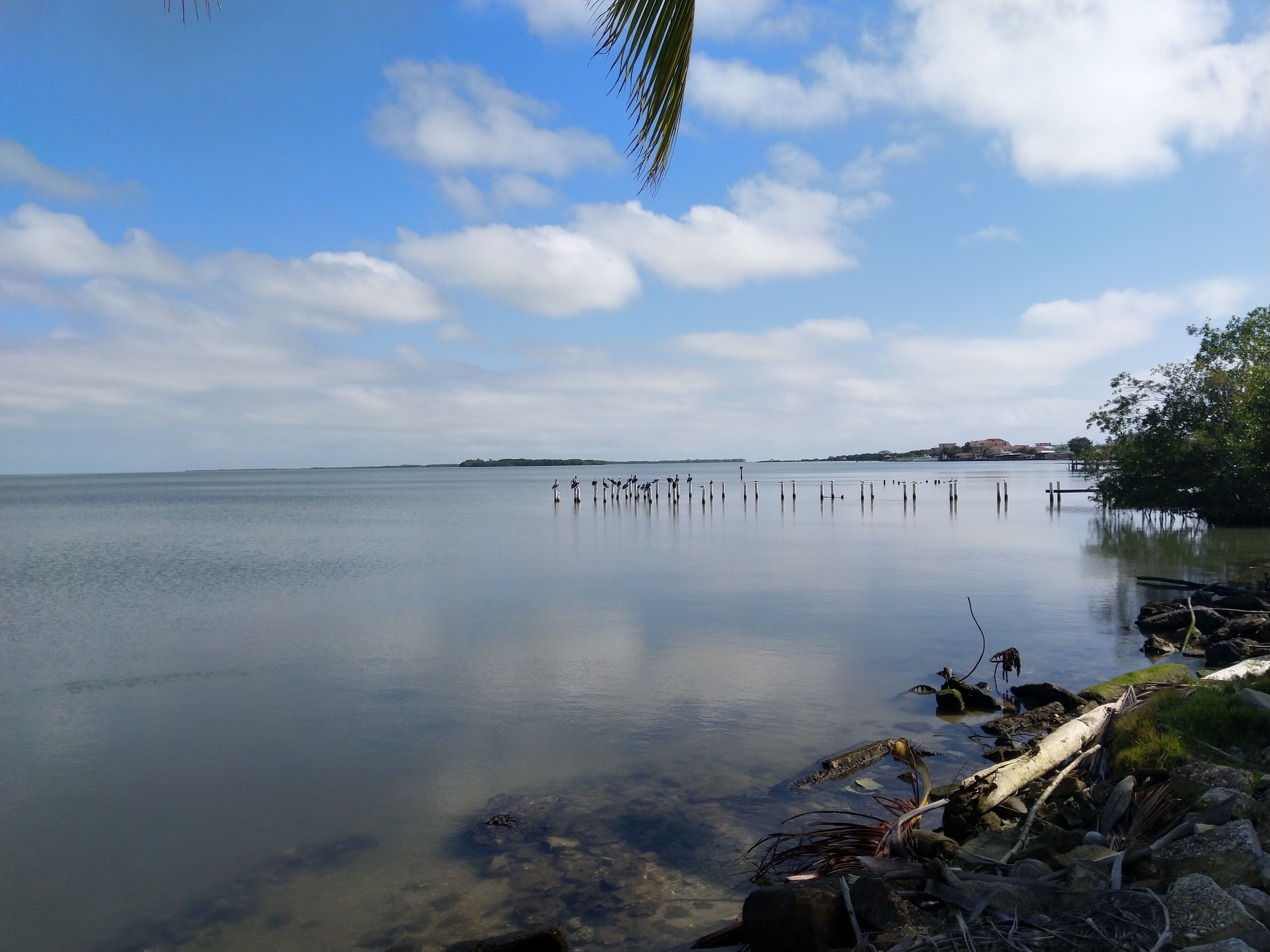 A calm lake with clear water, surrounded by rocks and vegetation.
