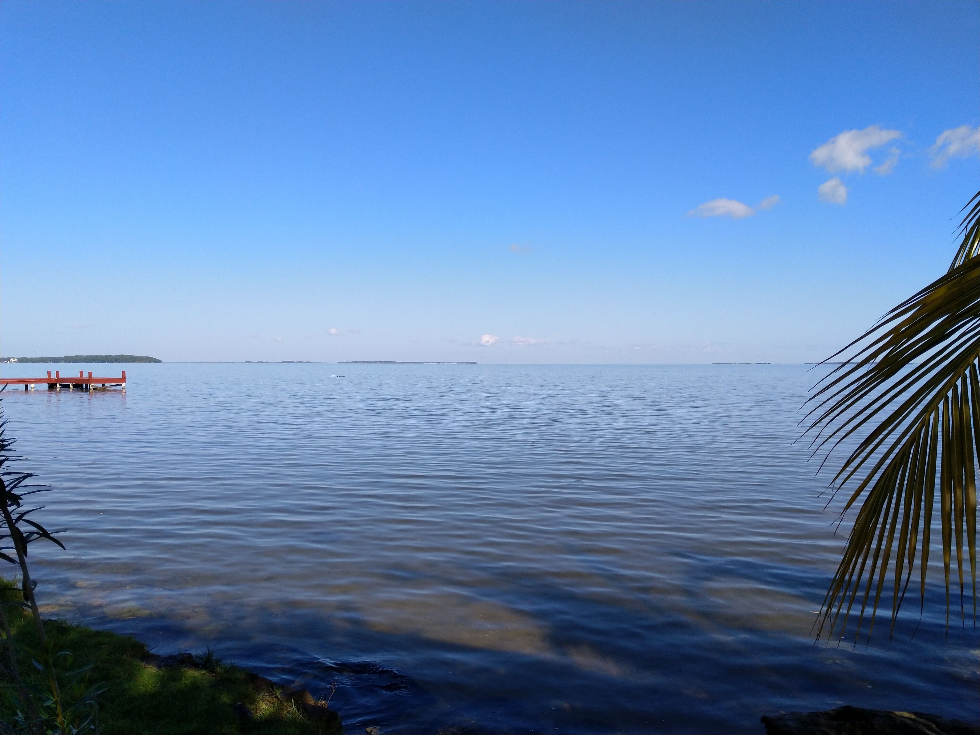 A calm body of water with a dock extending into it.