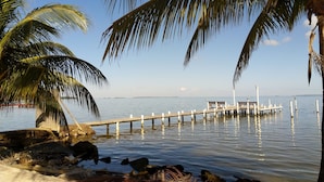 Un muelle de madera se adentra en aguas tranquilas, rodeado de rocas y palmeras.