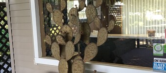 더 트라이앵글 모텔