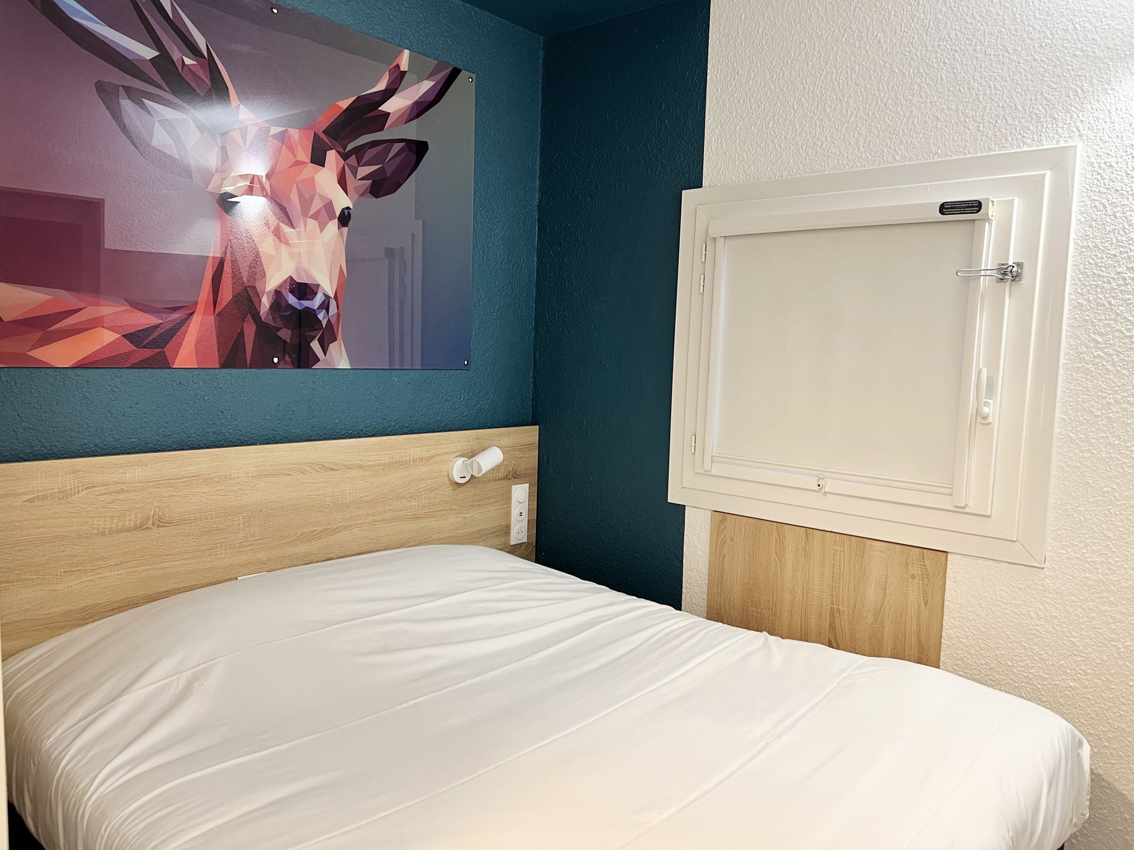 A neatly made bed in a room with a blue accent wall and a framed picture of a deer.