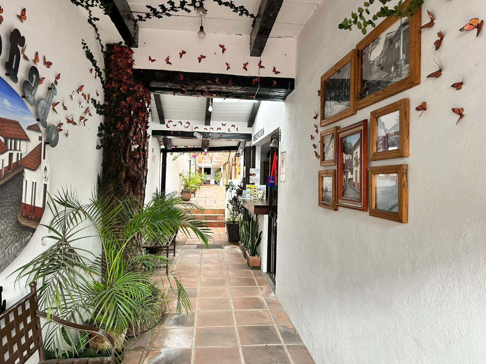 Foto - Rincon Soñado, Valle de Bravo