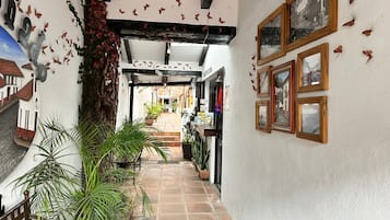 Un pasillo con suelo de baldosas, plantas en macetas y cuadros en las paredes.
