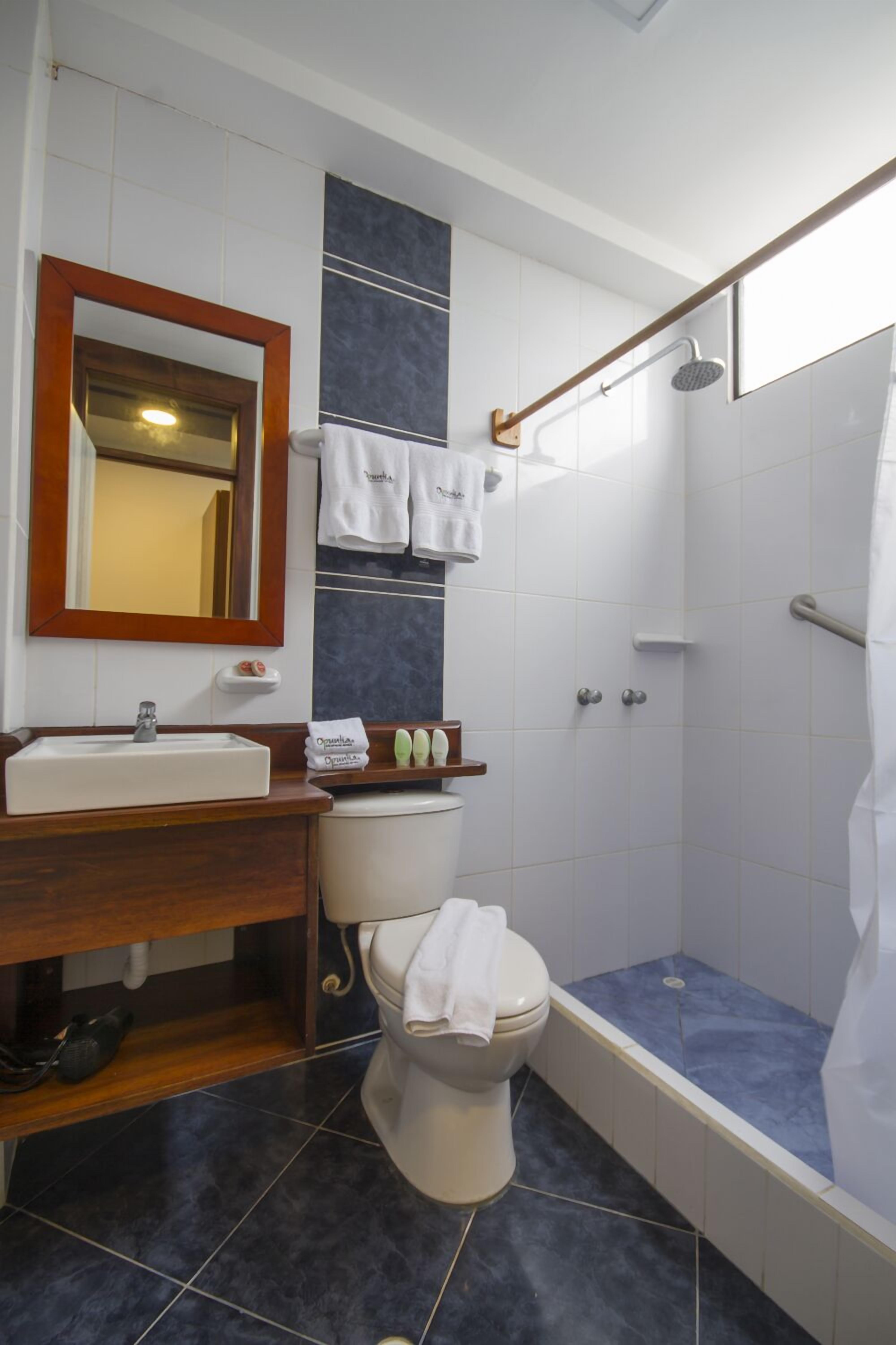 comfort twin room, ocean view | bathroom | shower, rainfall showerhead, hair dryer, towels