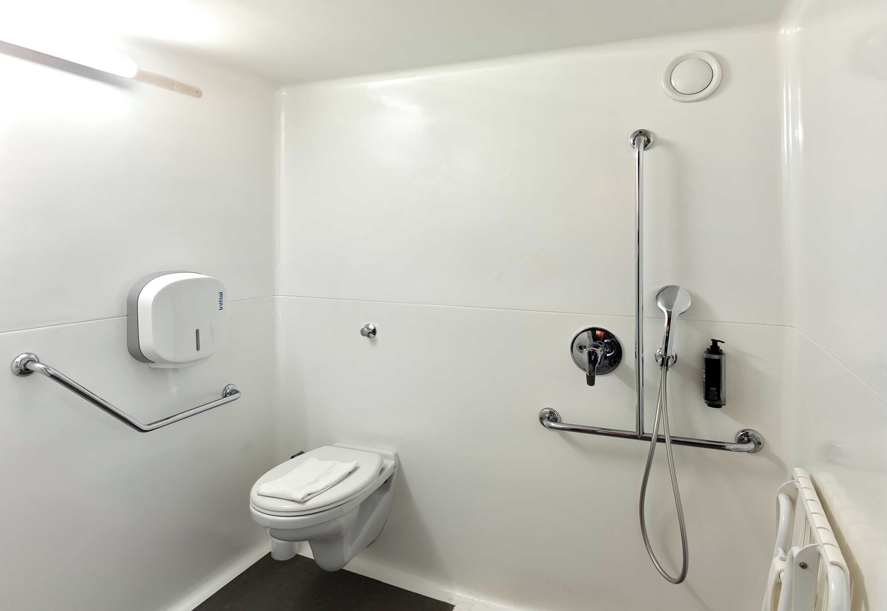 A modern bathroom with a toilet, a shower, and handrails.