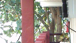 A covered walkway with red pillars, potted plants, and a tiled floor. - Safari Inn (Cozumel)