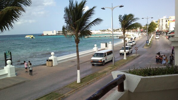 근처 해변, 스쿠버다이빙