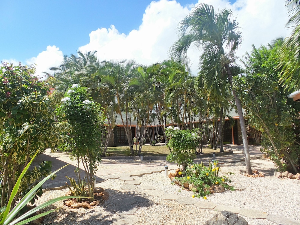 Shepherds Inn Tobago by null