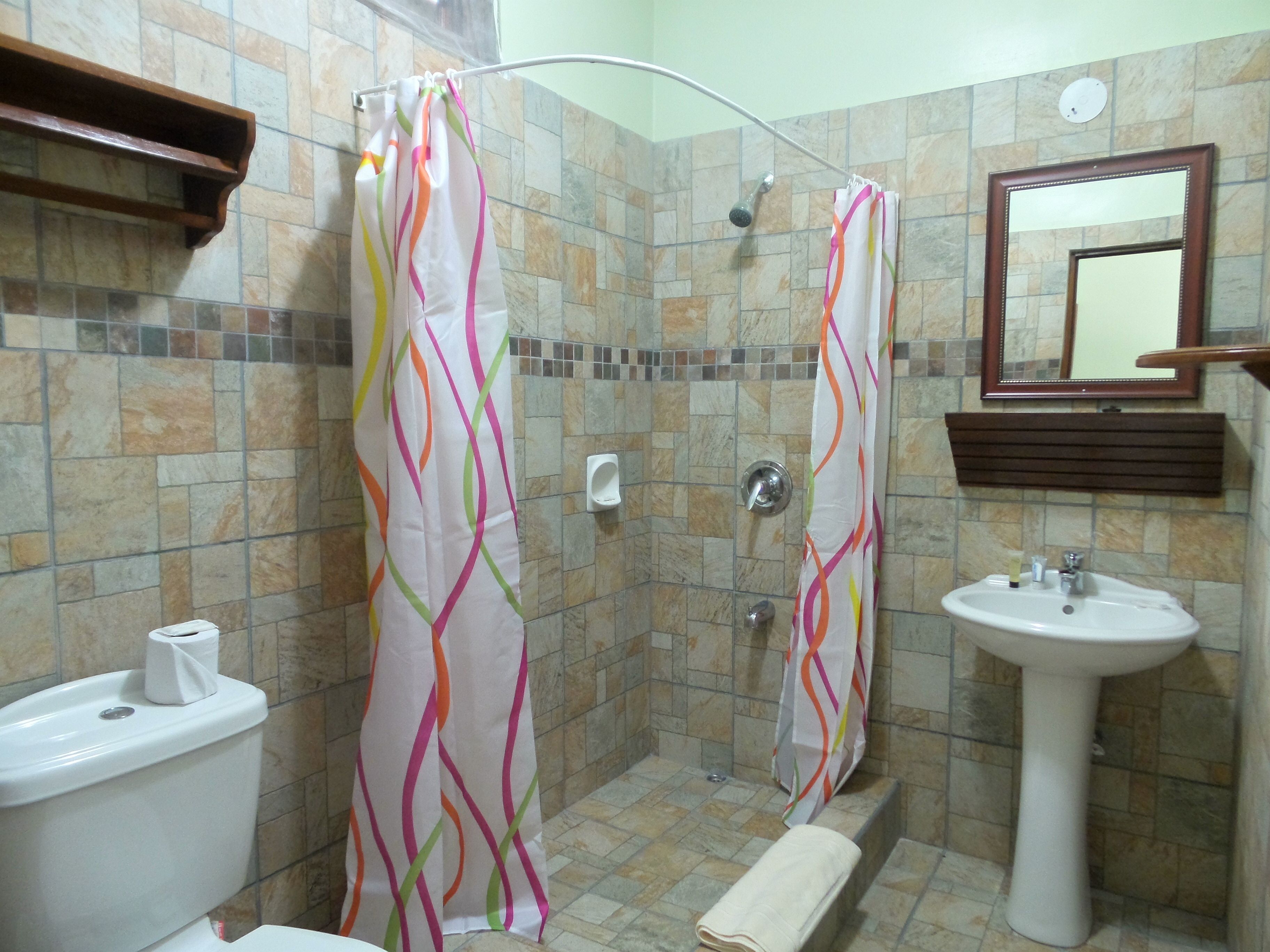 shower, free toiletries, hair dryer, towels