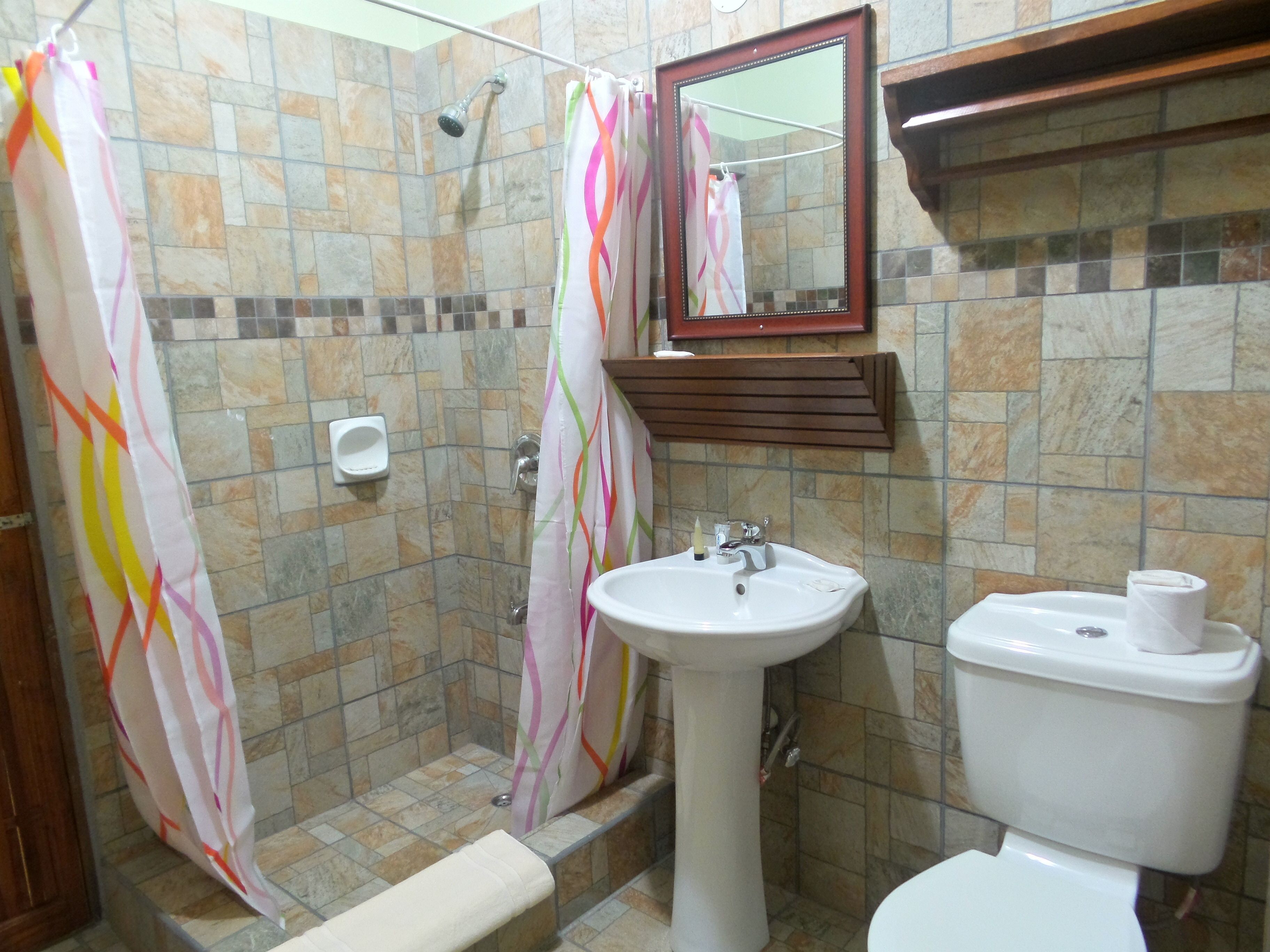 shower, free toiletries, hair dryer, towels