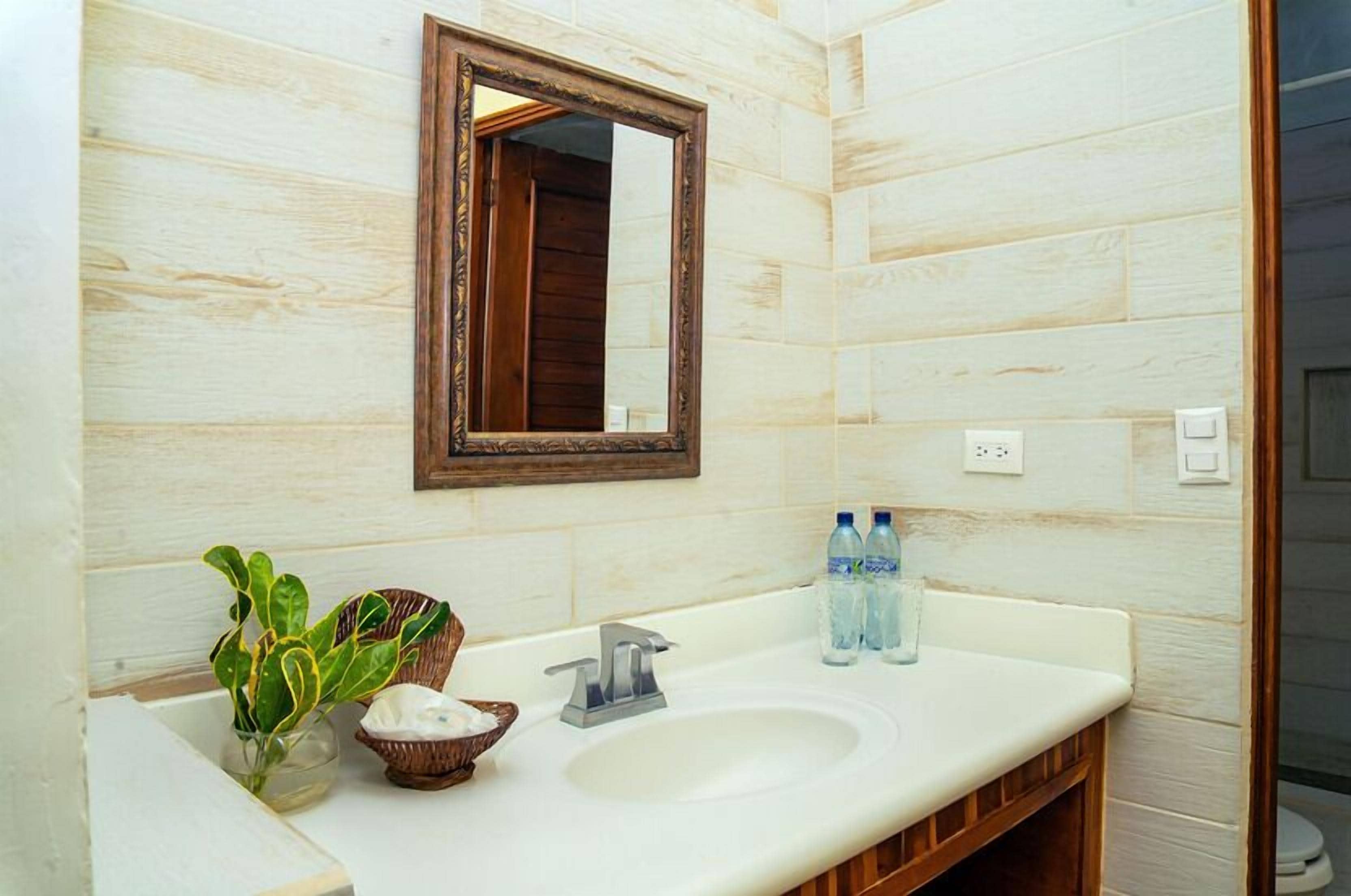 Un baño con pared de madera, un lavamanos blanco, un espejo, una planta y dos botellas de agua.