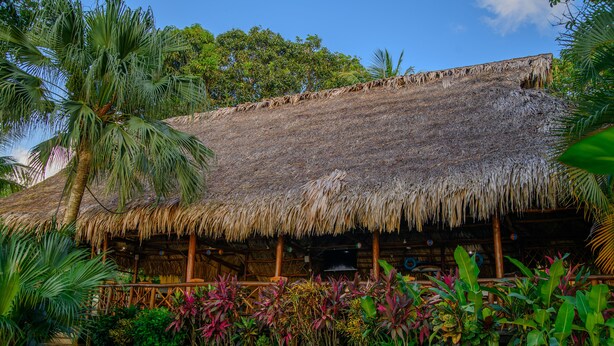 A thatched-roof structure surrounded by lush tropical vegetation. - Banana Palms Hotel (Livingston)