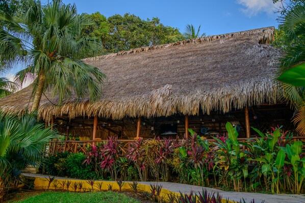 Una estructura con techo de paja rodeada de exuberante vegetación tropical.