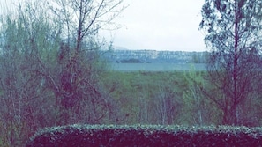 Vue depuis l’hébergement