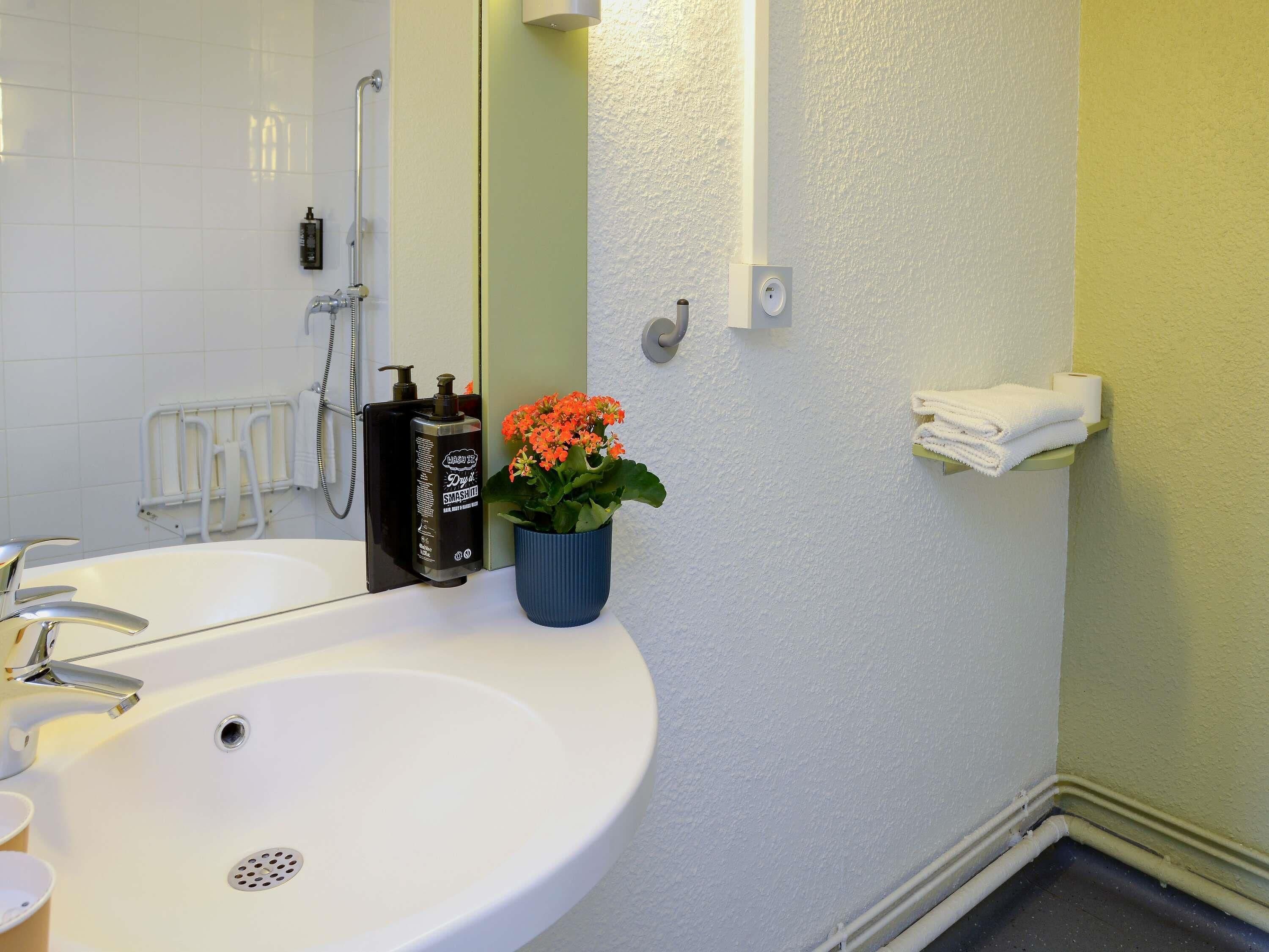 Een badkamer met een witte wastafel, een spiegel, een douche en een potplant met oranje bloemen.