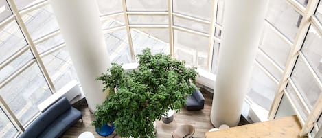 Un interior moderno con un amplio atrio de cristal, una planta en maceta en el centro y muebles contemporáneos.