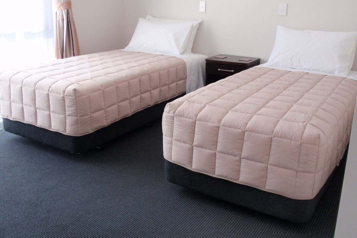 Two single beds with headboards, a nightstand, and a wall socket.