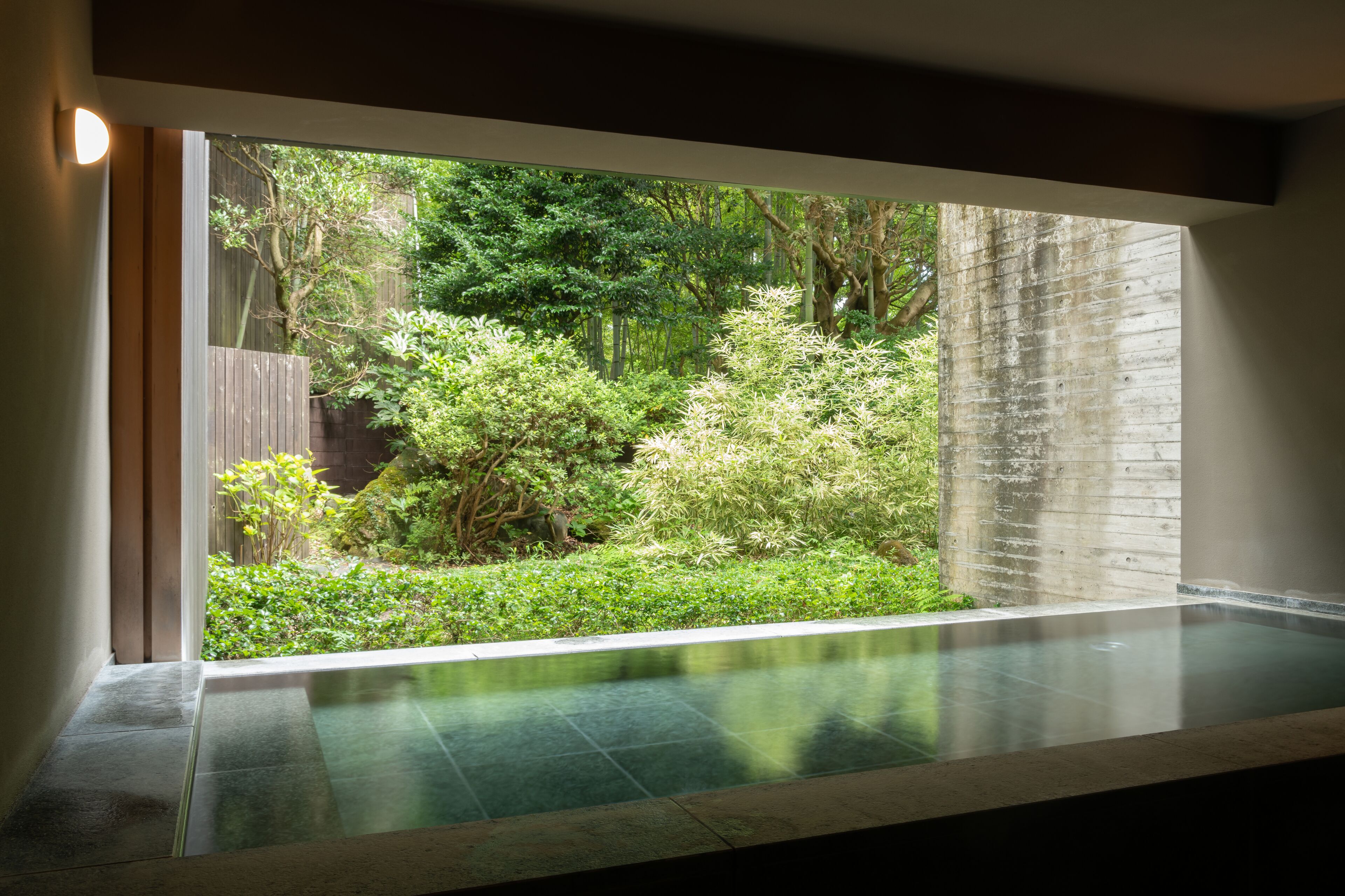 A modern indoor pool with a view of a lush garden and a wooden fence.