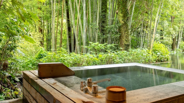 A hot spring surrounded by bamboo forest. - Kinnotake Tonosawa - Adult Only (Hakone)