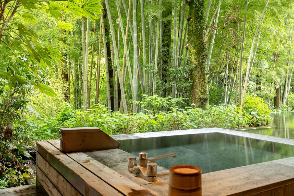 A hot spring surrounded by bamboo forest.