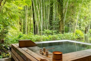 A hot spring surrounded by bamboo forest. - Kinnotake Tonosawa - Adult Only (Hakone)
