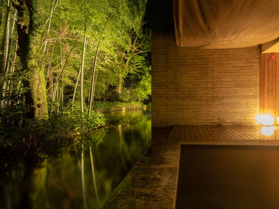 A serene indoor setting with a wooden deck overlooking a calm water body, surrounded by lush greenery.