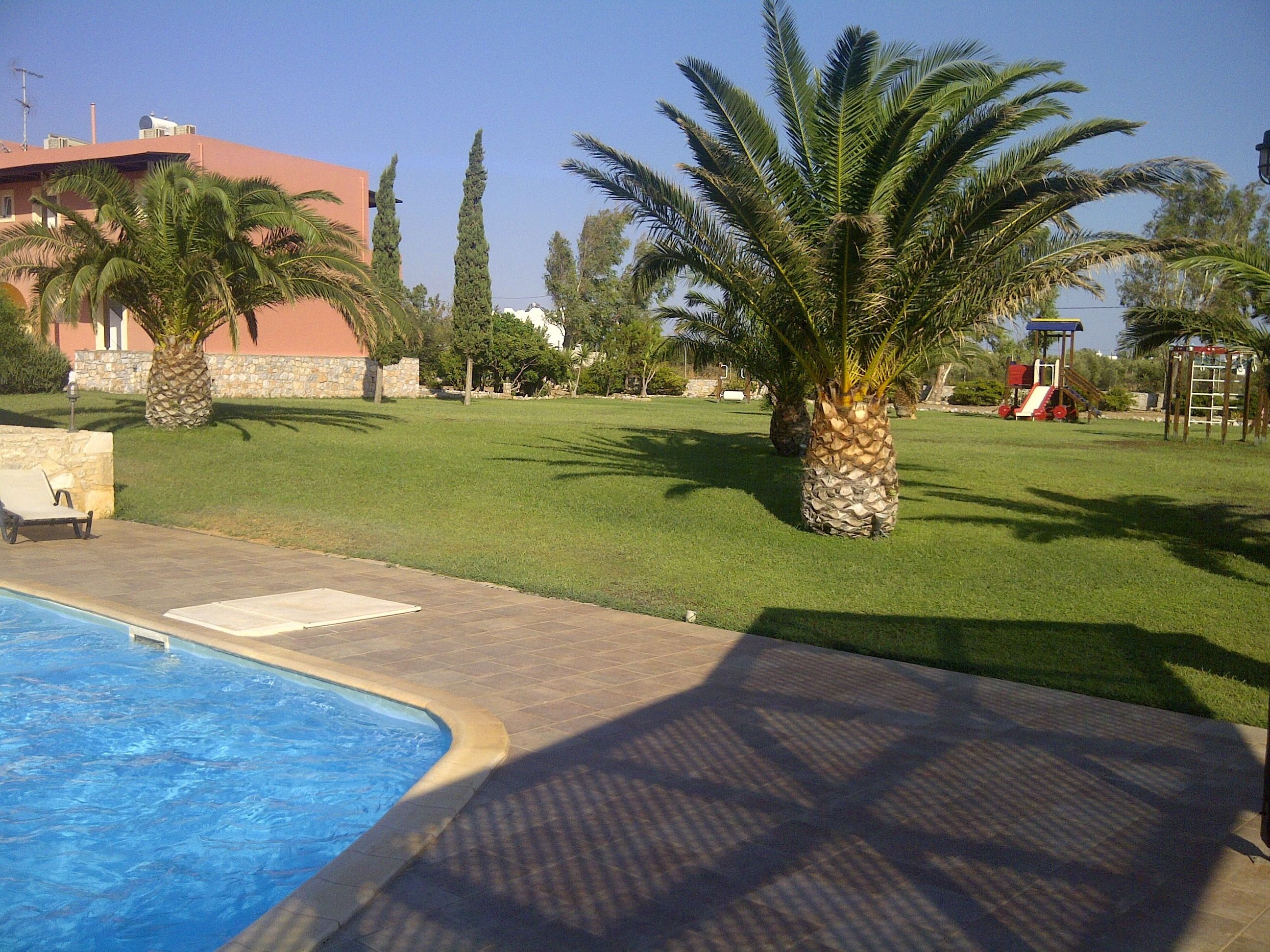Une piscine entourée d’une terrasse carrelée, d’une pelouse verdoyante et de palmiers.