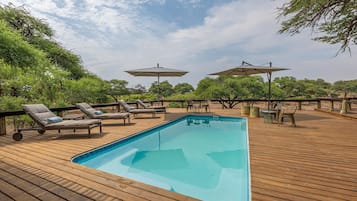 Outdoor pool, pool umbrellas, pool loungers