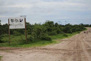 Señal de Mogottho Safari Lodge con un camino de tierra y follaje al fondo.