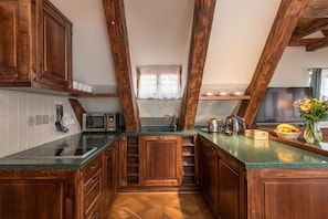 Family Apartment, 2 Bedrooms, Kitchenette, City View | Private kitchen