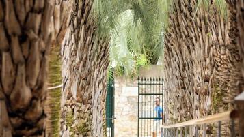 A pathway lined with palm trees and stone walls, leading to a gated entrance.