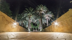 Vườn