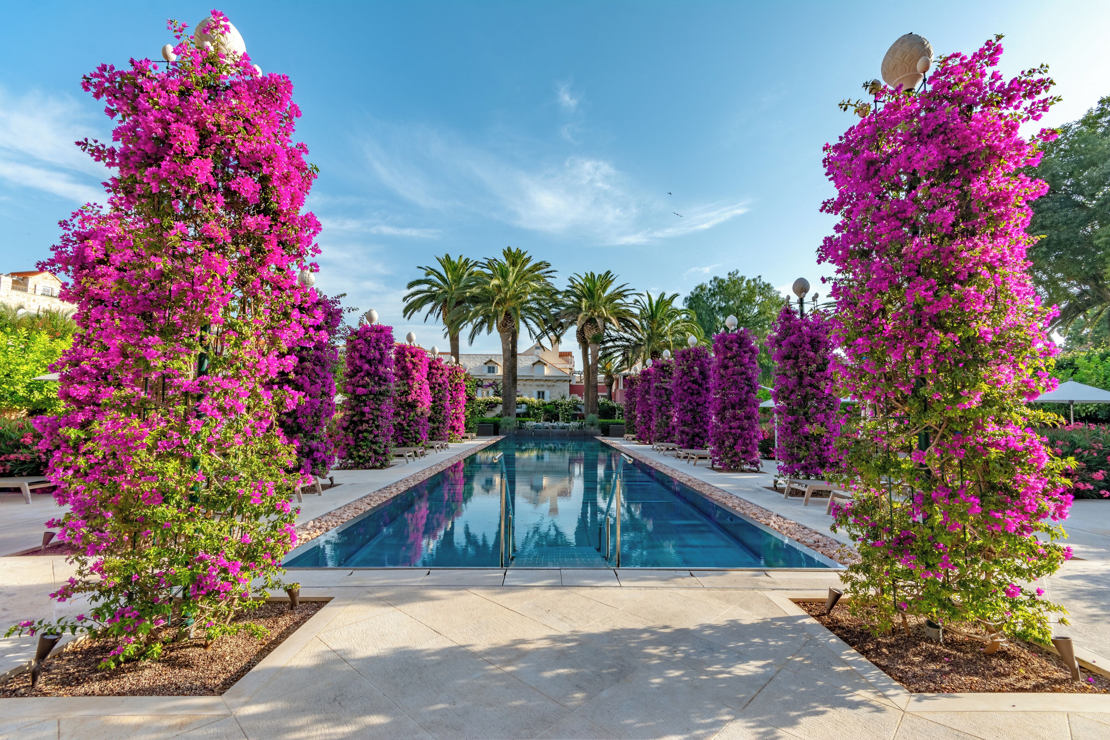 A swimming pool surrounded by pink bougainvillea trees, with palm trees and a clear blue sky in the background.
