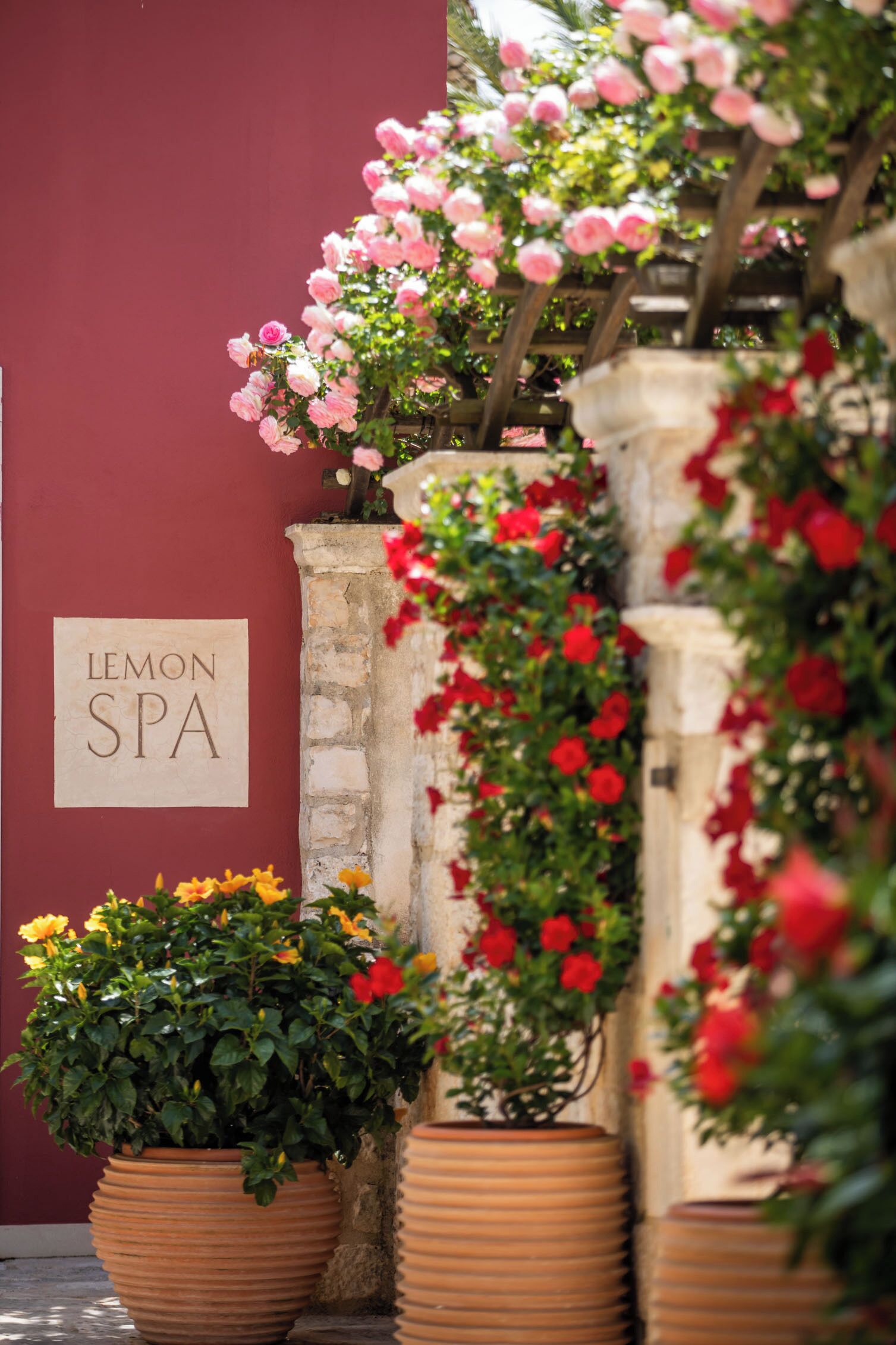 A spa sign, potted plants, and flowering plants against a wall.