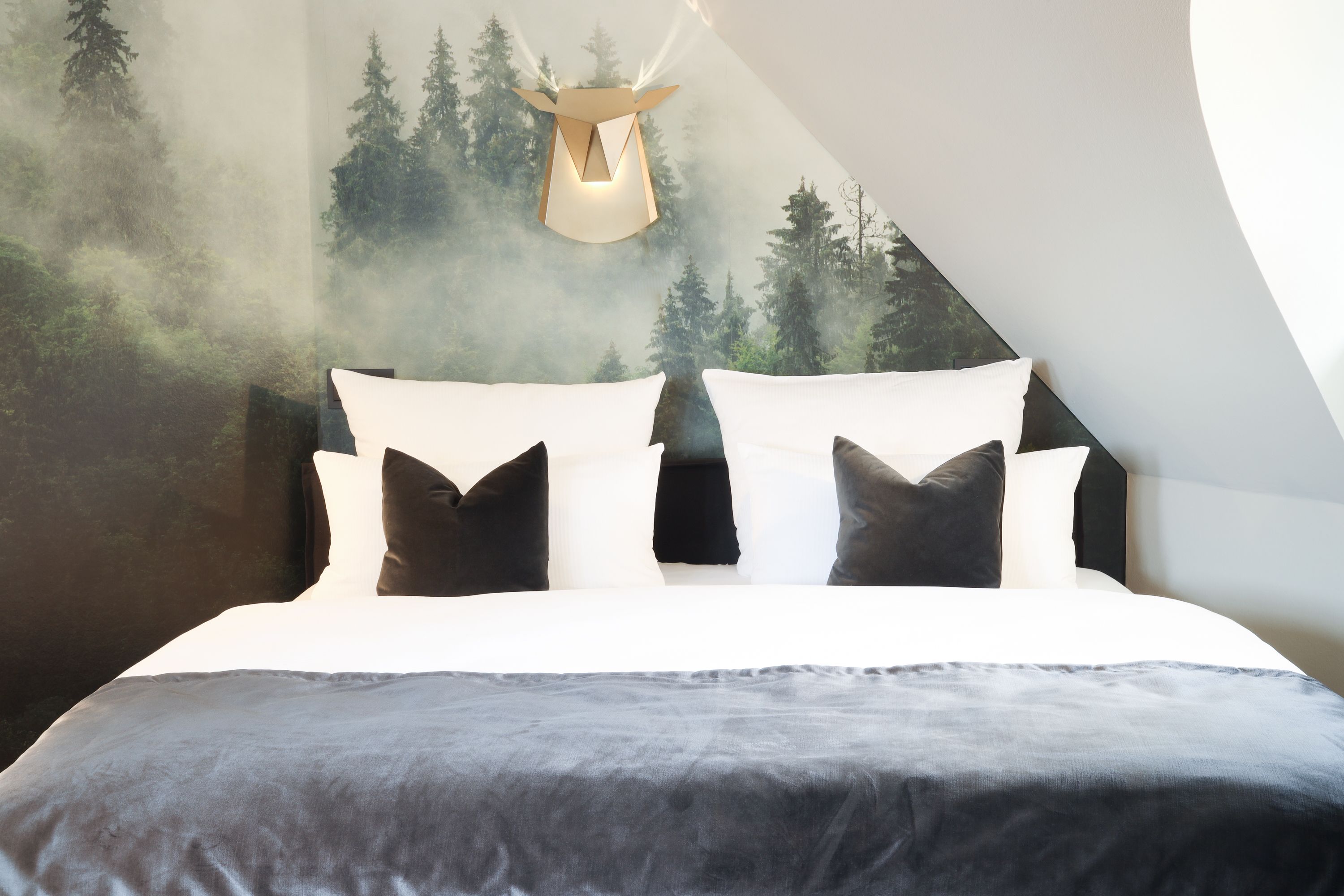 1 bedroom, hypo-allergenic bedding, down duvets, desk