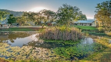 Un entorno tranquilo junto al lago, con un estanque rodeado de abundante vegetación y algunos edificios al fondo.