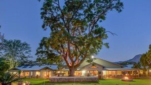 A modern house with a large tree in the front yard, a stone pathway, and a small pond. - Saragossa Game Reserve (Emgwenya)
