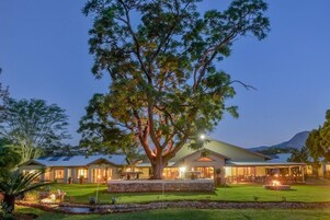 Una casa moderna con un gran árbol en el jardín delantero, un camino de piedra y un pequeño estanque.