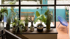 A room with large windows, potted plants, and a blue chair. - Hôtel Victoria Paris (Paris)