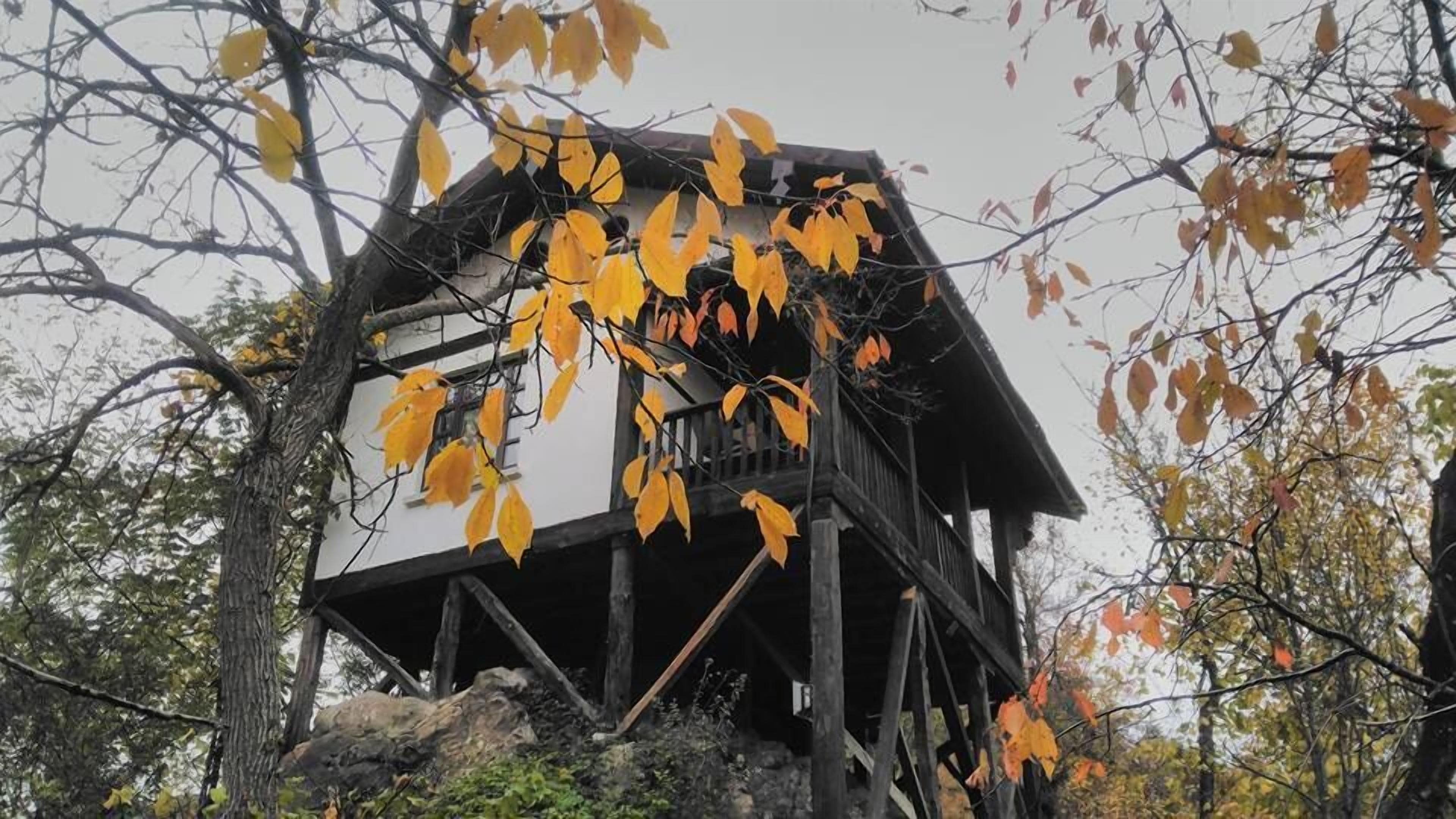 hunting mansion | minibar, in-room safe, blackout curtains, free wifi