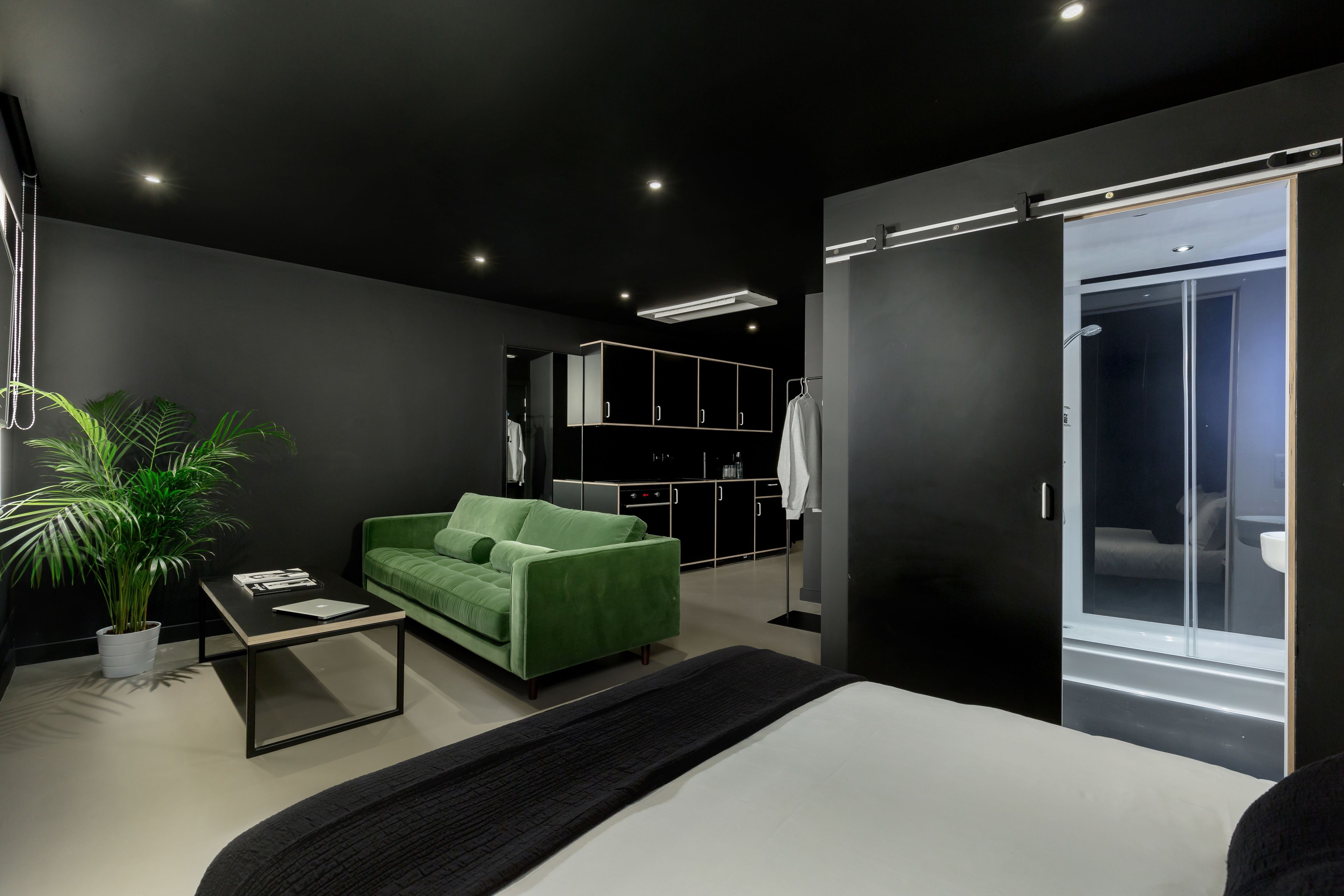 penthouse, kitchen | bathroom | hair dryer, towels