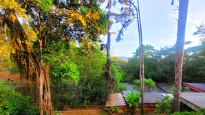 Un área boscosa y exuberante, con un edificio que tiene techo rojo y una terraza de madera.