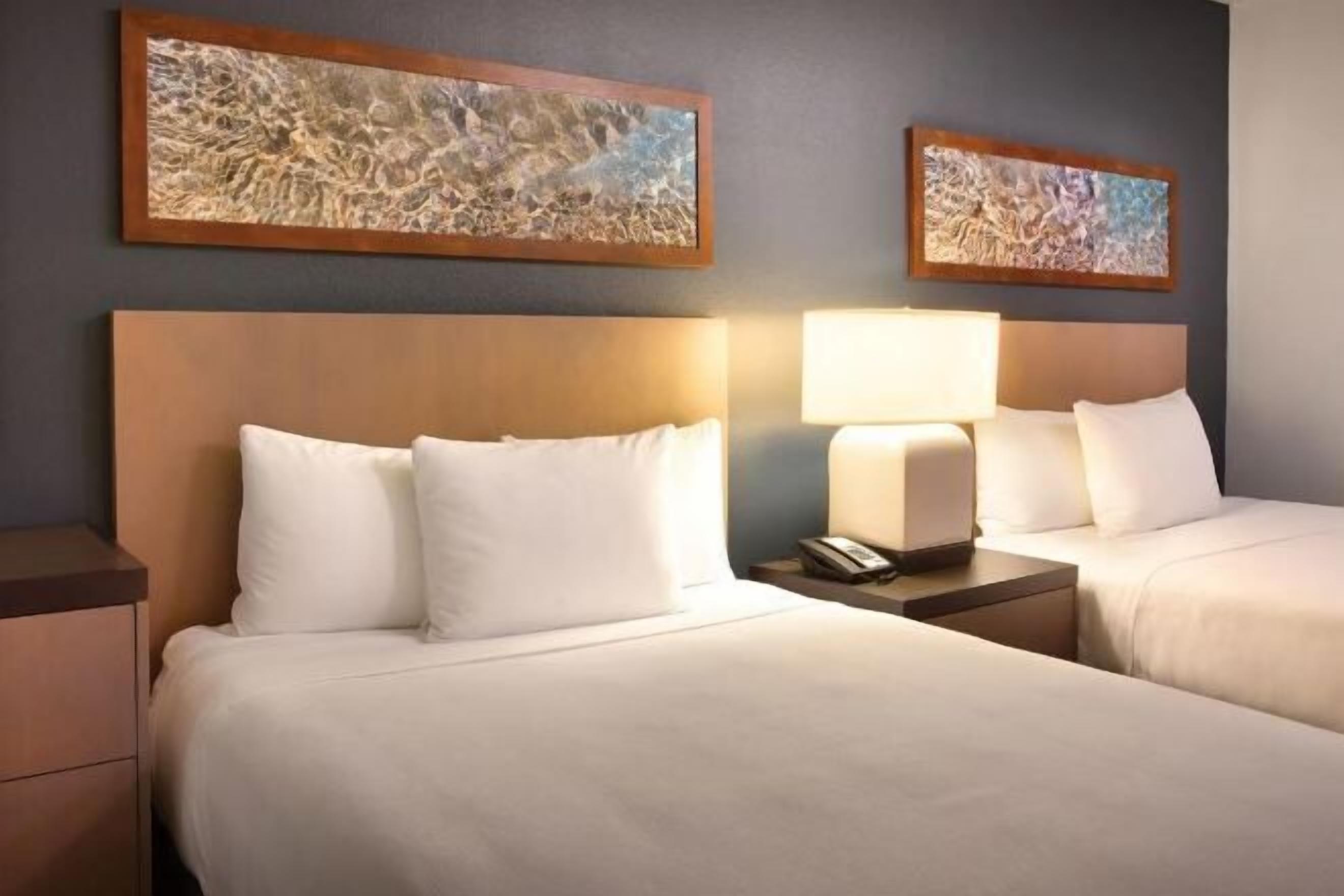 Caja de seguridad en la habitación, escritorio y cortinas blackout 