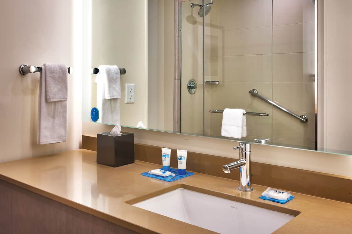 designer toiletries, hair dryer, towels
