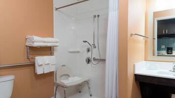 A bathroom with a shower, toilet, and a sink with a mirror.