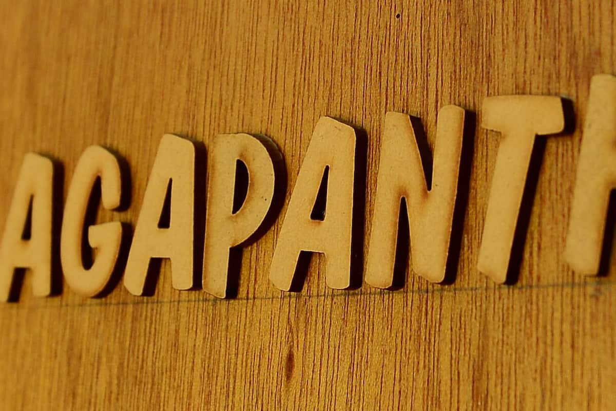 Agapanthus Suite | Biancheria da letto di alta qualità, minibar, una cassaforte in camera