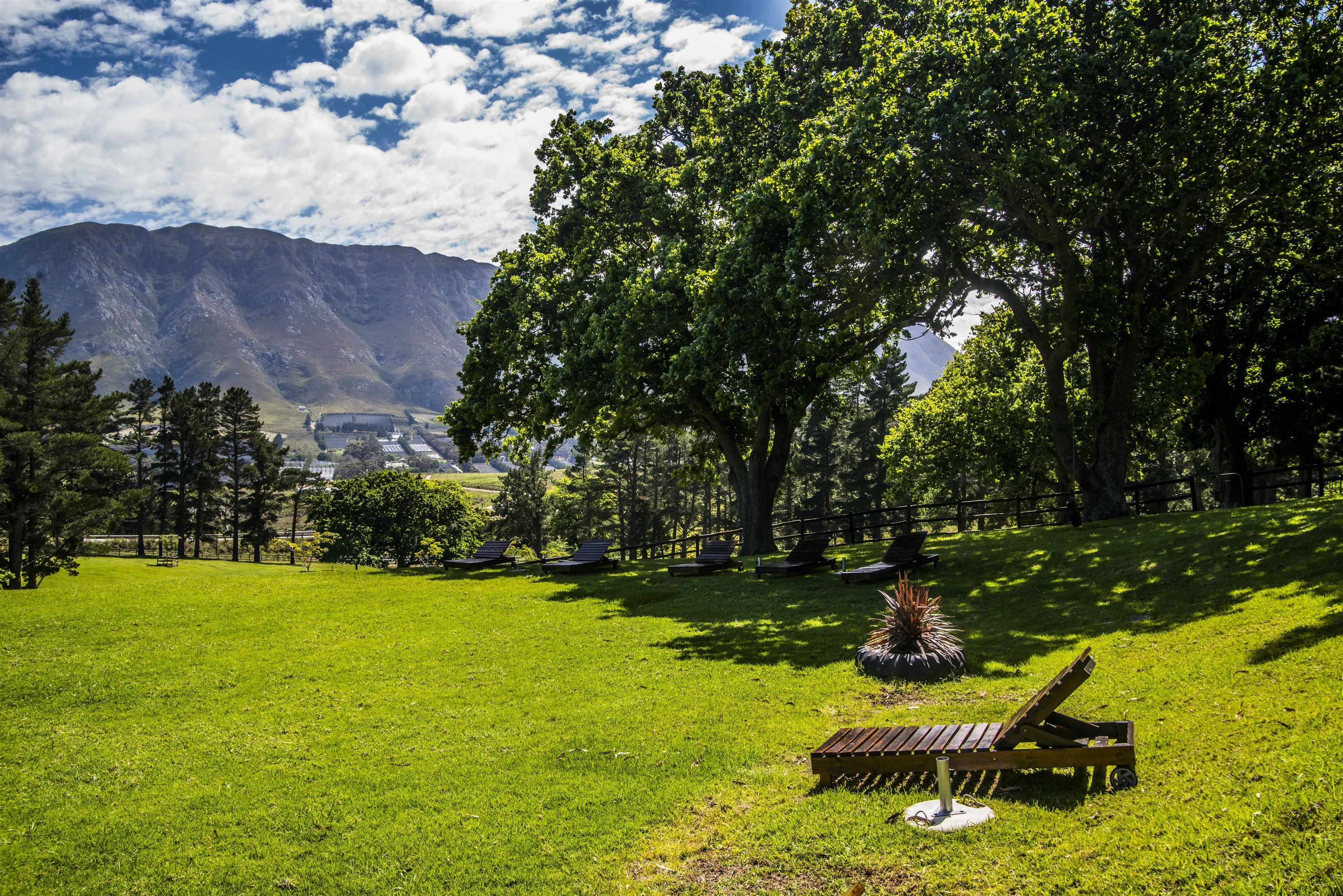 A grassy park with a wooden bench, trees, and mountains in the background.