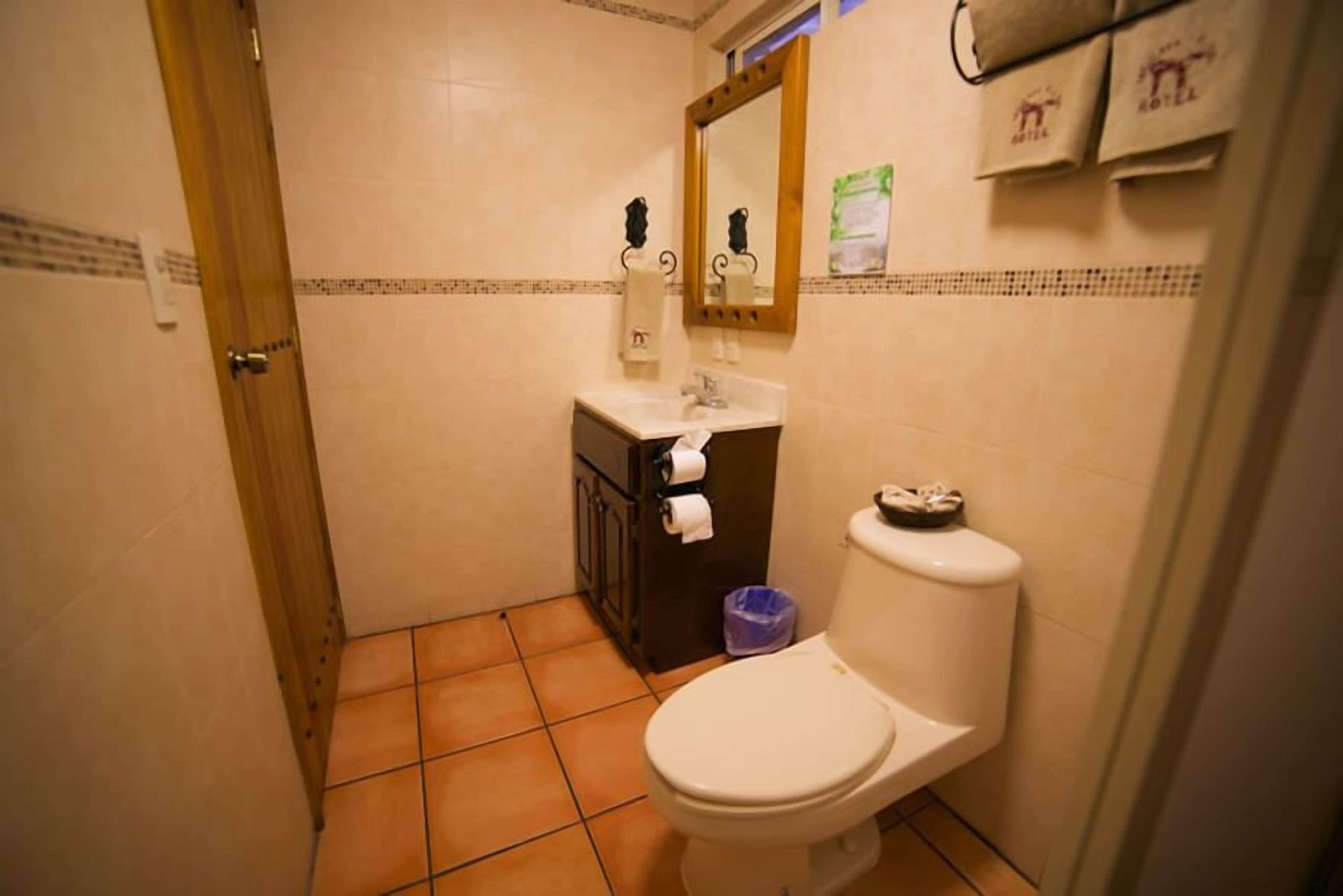 shower, free toiletries, towels